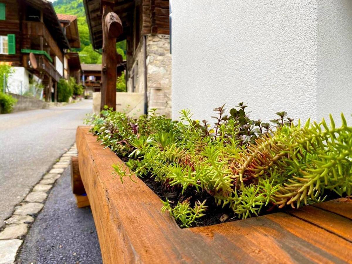 Beim Brunnen Lägenhet Gsteigwiler Exteriör bild